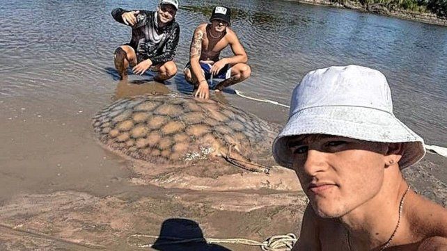 Capturaron una raya de 100 kilos en el arroyo Feliciano.
