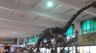 La megamuestra Dinosaurios: gigantes argentinos comenz&oacute; su gira por Europa