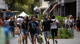 El 29% de los locales del área central se encuentran en el microcentro.