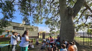 El museo va a la escuela al rescate del patrimonio natural de Sastre