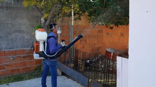 Brote de dengue no se detiene en Paraná y hubo un nuevo bloqueo