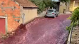 Más de dos millones de litros de vino tinto inundaron las calles de un pueblo de Portugal