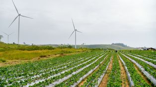 Crece el uso de tecnologías con fuentes de energía renovable.