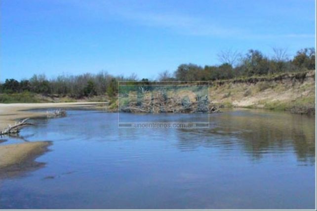 Relevaron qué especies viven en la reserva Enrique Berduc