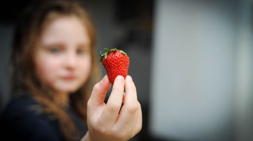 Drástico aumento de alergias alimentarias en niños: el impacto en la vida familiar