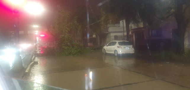 Temporal de lluvia y viento causó grandes daños en Paraná y zona