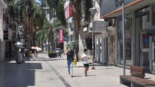 Este 30 de septiembre se conmemora a San Jerónimo