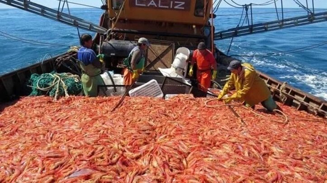 La pesca del langostino es una parte importante de la economía de Chubut.