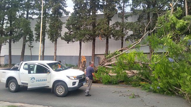 La Municipalidad dispuso de un operativo por la tormenta