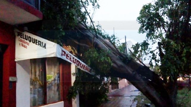 Una cola de tornado afecto al menos 10 cocheras y vehículos en barrio Paraná II