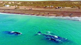 Ideal para refrescarse y nadar, esta playa también tiene una zona apta para surferos.