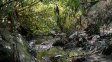 Presentaron un corto sobre los arroyos de Paraná y la organización ambiental vecinal