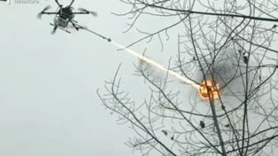 Video: usan drones lanzallamas en China para destruir nidos de las peligrosas avispas asiáticas