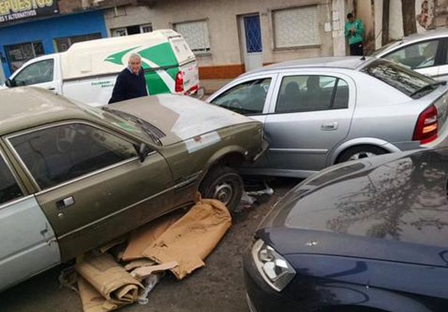 Foto gentileza @Veroensinas