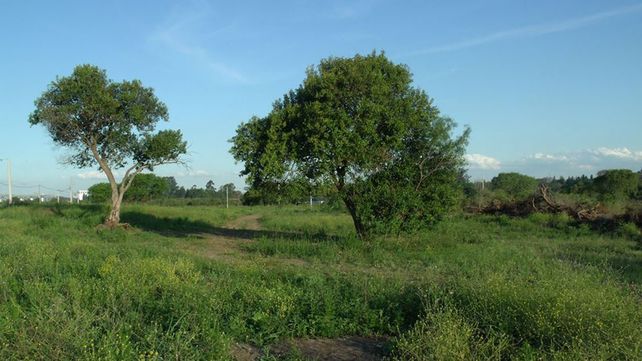 El terreno está ubicado en calle Gobernador Tibiletti al 3.700