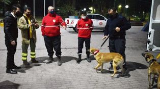 Brigada canina de Santa Fe se suma a la búsqueda de una nena desaparecida en San Luis