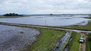 Declararon la emergencia agropecuaria en varios departamentos de Santa Fe por las inundaciones