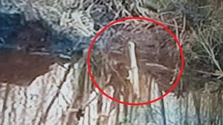 La avioneta hallada en el Paraná es la que había despegado de San Fernando