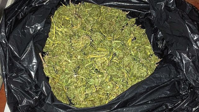 La marihuana encontrada en un control de Gendarmería