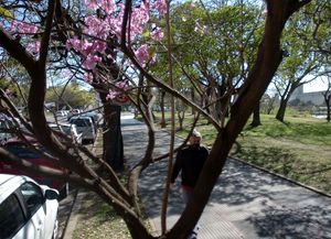 Un martes primaveral para arrancar la semana laboral