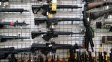 Armas semiautomáticas: el Gobierno oficializó requisitos para la tenencia de fusiles y carabinas símil asalto