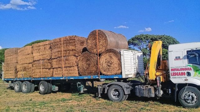 Veterinarios viajan a Corrientes a salvar animales heridos