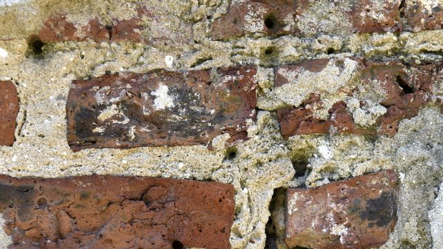 Cómo luce hoy La Calamita, el centro clandestino de Baigorria