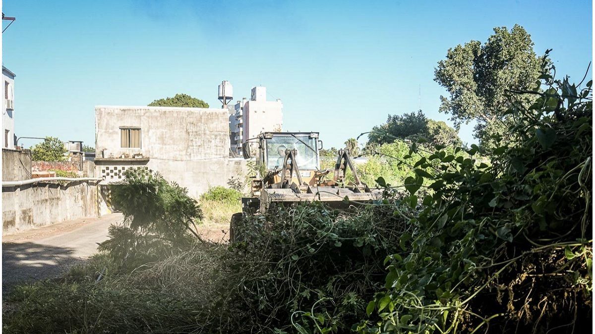 La Municipalidad de Paraná controla los terrenos por falta de mantenimiento