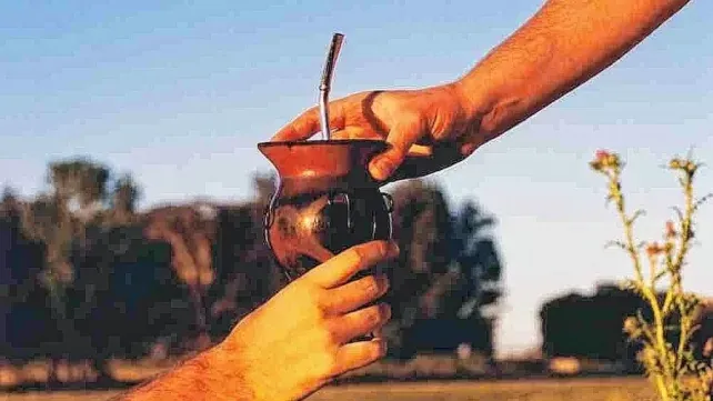 Hoy es el Día Nacional del Mate: una costumbre sana