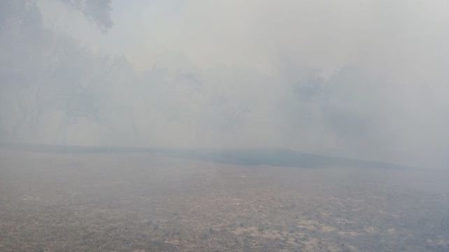 El fuego y el humo asolan el sur de Entre Ríos con incendios en la zona del Delta. Bomberos de Ceibas