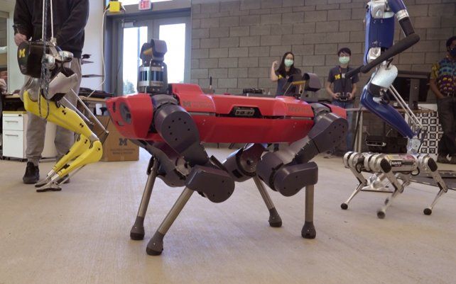 En una captura de fotogramas de un video, los robots caminan por el piso del edificio de robótica Ford Motor Co. de la Universidad de Michigan. El complejo de cuatro pisos alberga aulas y laboratorios de investigación para robots