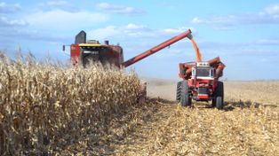 La estabilidad climática generó un intenso ritmo de cosecha en el centro y norte de Santa Fe