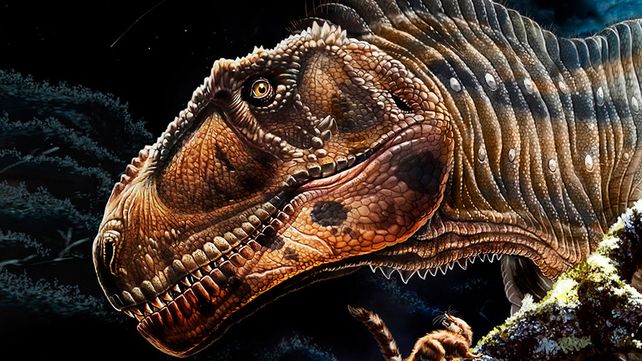 Este es Meraxes gigas el dinosaurio carnívoro más grande