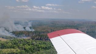 Trabajan para controlar un gran incendio frente al Palmar