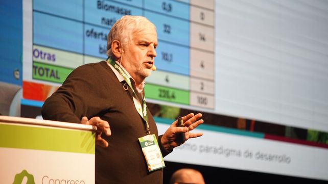 Villela. El especialista de la Fauba se refirió a la biomasa.