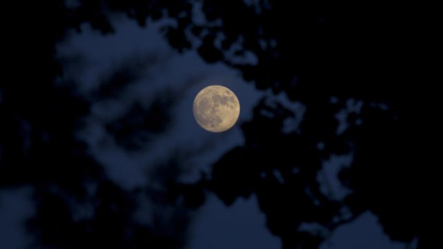 Así se ve la Superluna por el mundo