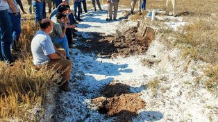 Un simulador de napas freáticas para ajustar el manejo de cultivos