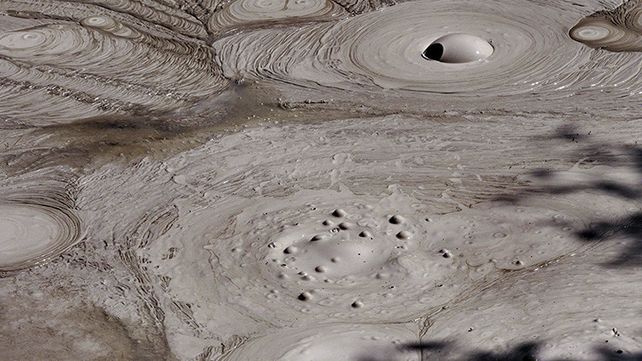 Misterioso monstruo submarino saca su cabeza fuera del barro y desaparece