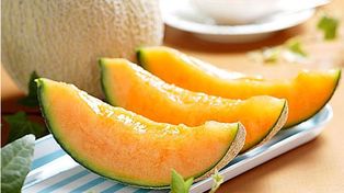 En busca de mejores melones santafesinos