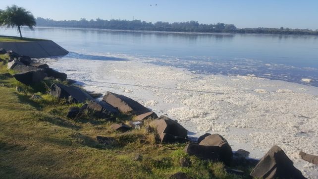 El fenómeno responde a una abundancia de restos de vegetales y partículas naturales que se acumulan en el agua.