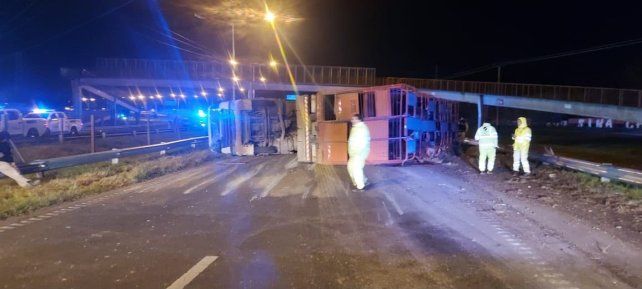 Un camión jaula volcó a última hora del jueves 20 de agosto de 2026 en avenida Circunvalación y Ayacucho. La policía arrestó a cinco personas durante la búsqueda de las vacas que habían escapado.