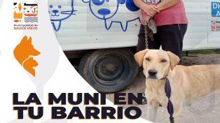 La Muni en tu barrio