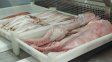La Assal dio recomendaciones para el consumo seguro de pescado en Semana Santa
