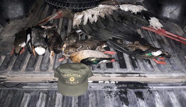 Secuestraron especies protegidas depredadas por un cazador furtivo