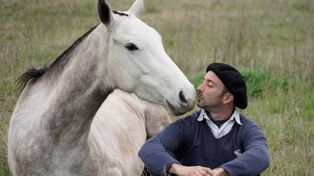 Arroyo Seco: Palmerita, el veterinario que estudió de grande herrando caballos