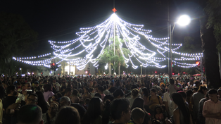 El arbolito de Navidad de Oroño y Pellegrini se encenderá el próximo lunes