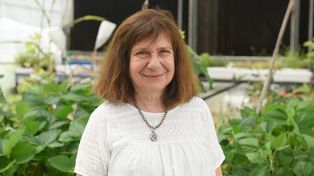 Una doctora de la UNR fue premiada por la Unesco por sus aportes a la seguridad alimentaria