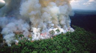 El fuego en el Amazonas se extiende a Bolivia y Paraguay