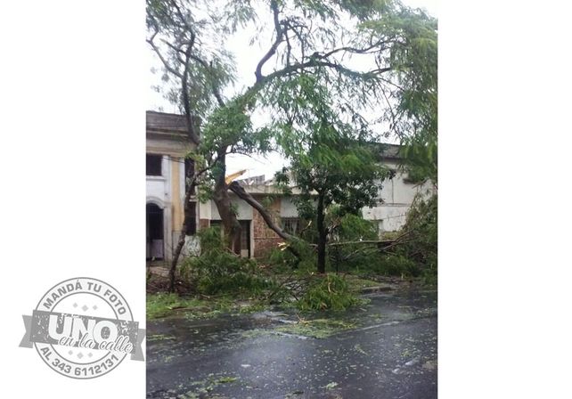 Terrible temporal de lluvia y viento generó graves destrozos en Paraná