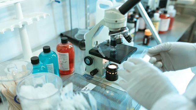 Entre Ríos impulsa a la industria del software